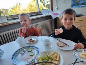 20240919 SON Sms GSE Probe (2).jpeg