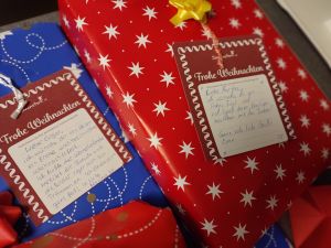 Sonnenstern besucht Weihnachten HaW IMG_20221208_145325.jpg