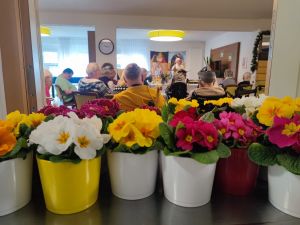 20240313 SON besucht HaW2.jpg