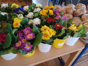 Sonnenstern Ostern PHH IMG_20260326_151642.jpg